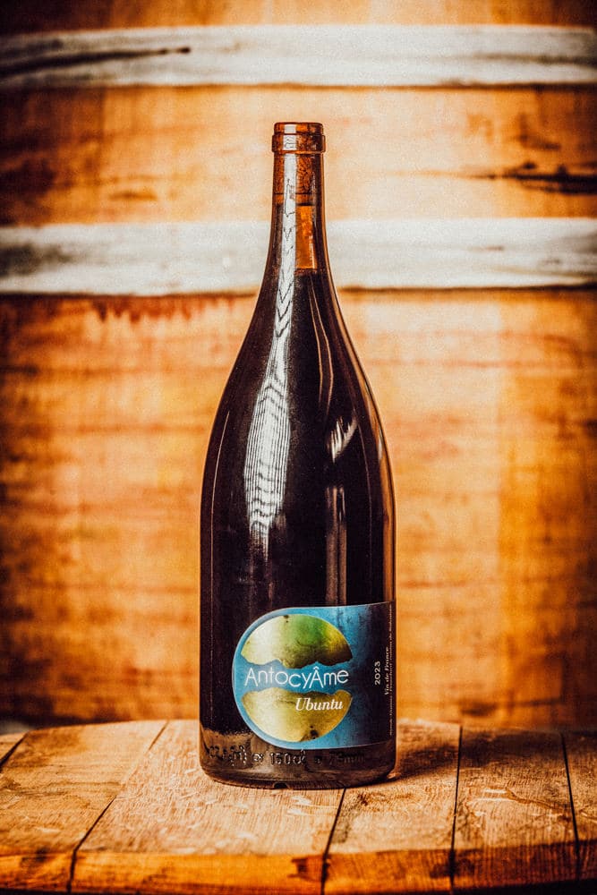 Une grande bouteille de vin « AntocyAme Ubuntu » se dresse sur une surface en bois. La bouteille marron foncé, capturée avec la finesse d'un photographe bouteille de vin chevronné, comporte une étiquette aux tons terreux bleus et verts et un texte indiquant « AntocyAme Ubuntu ». Le fond rustique en planches de bois complète son look vintage.