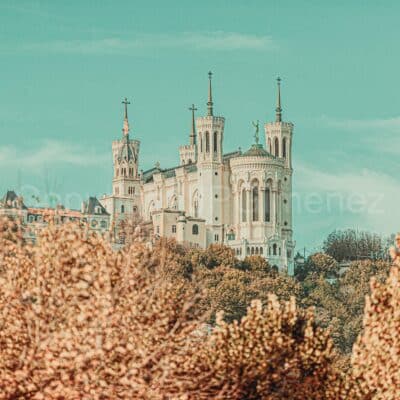 Une grande basilique blanche avec de hautes tours, des croix et des détails ornés se trouve au sommet d'une colline entourée d'arbres au feuillage doré sous un ciel bleu - l'une des photographies lyonnaises capturant l'architecture complexe de la ville dans son paysage naturel.